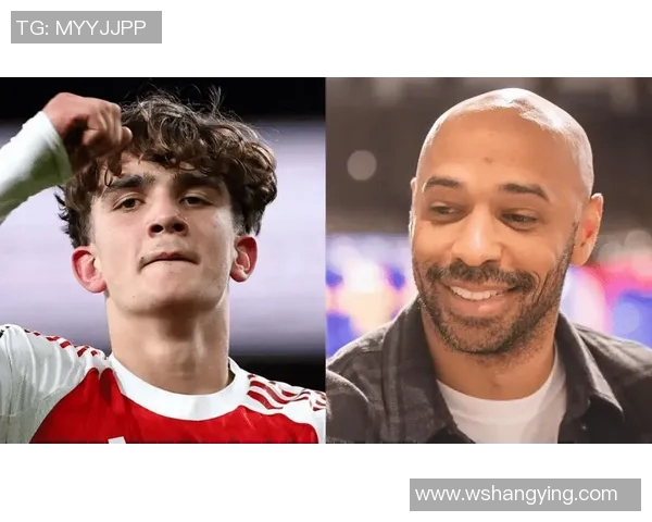 篮球明星Henry的传奇旅程与赛场背后的故事揭秘