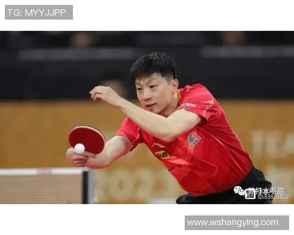 滑县篮球明星的成长之路与未来展望：从地方小将到全国瞩目球员的奋斗故事