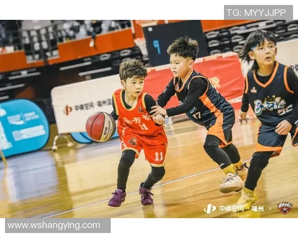 长沙全明星篮球公园：体验激情篮球与城市活力的完美结合