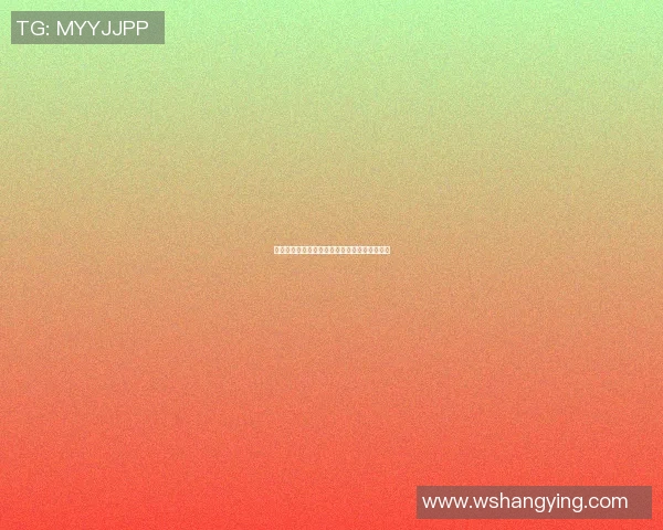 山师二附中篮球明星的成长之路与辉煌成就揭秘